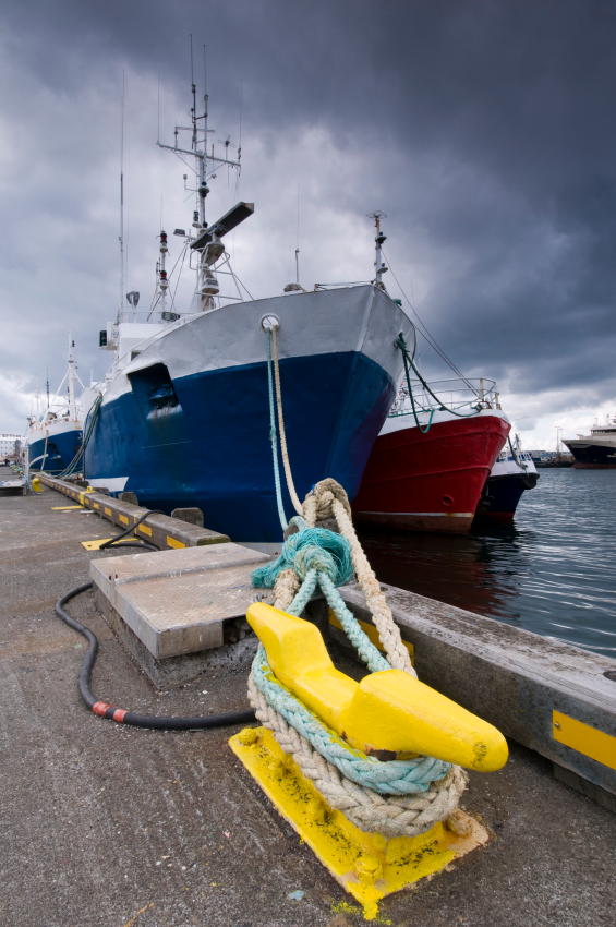 Bureau Veritas Approved & Llyods Registered Shipboard cables